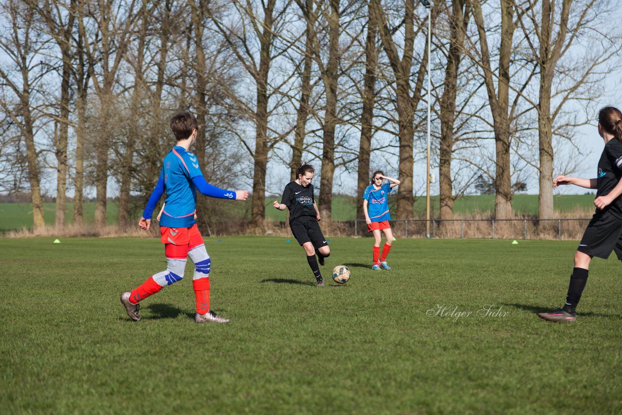 Bild 295 - C-Juniorinnen SV Steinhorst/Labenz - TSV Friedrichsberg-Busdorf : Ergebnis: 5:0